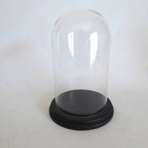 NEW 9” DECORATIVE GLASS CLOCHE DISPLAY DOME COVER BLACK WOOD BASE
